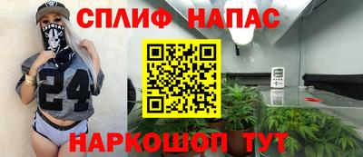 сатива Моздок
