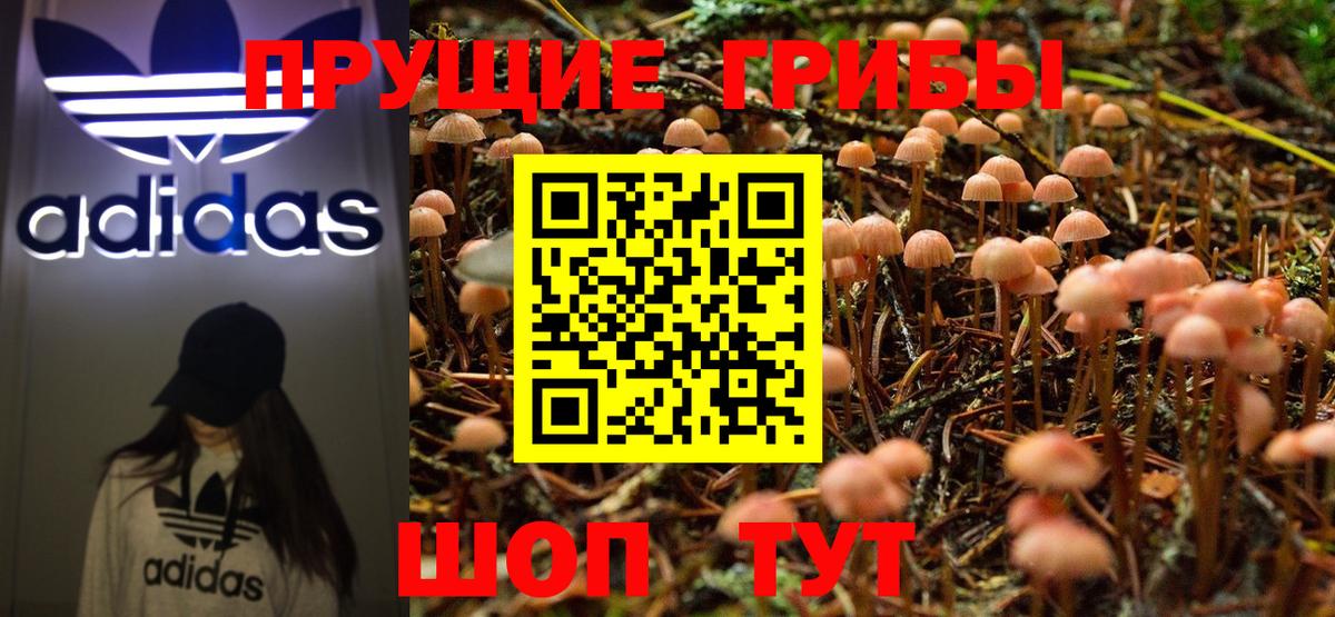 Учалы  Галлюциногенные грибы Cubensis  Вход с VPN 